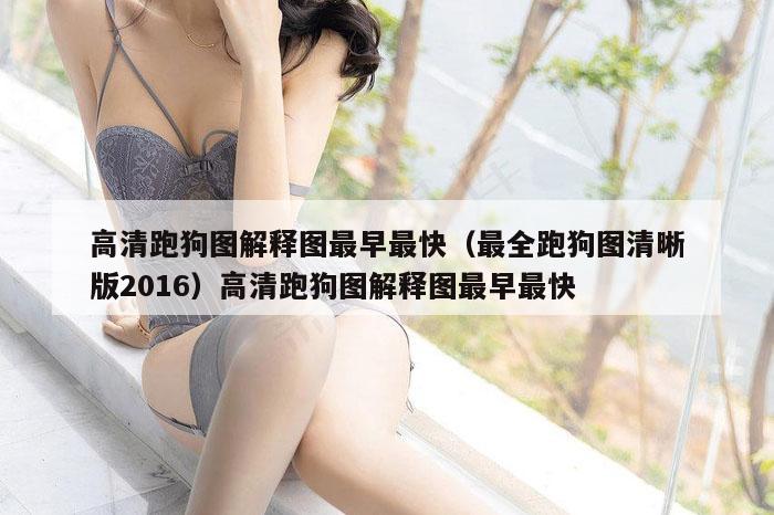 高清跑狗图解释图最早最快（最全跑狗图清晰版2016）高清跑狗图解释图最早最快