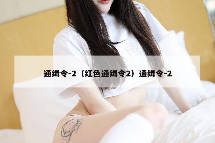 通缉令-2（红色通缉令2）通缉令-2